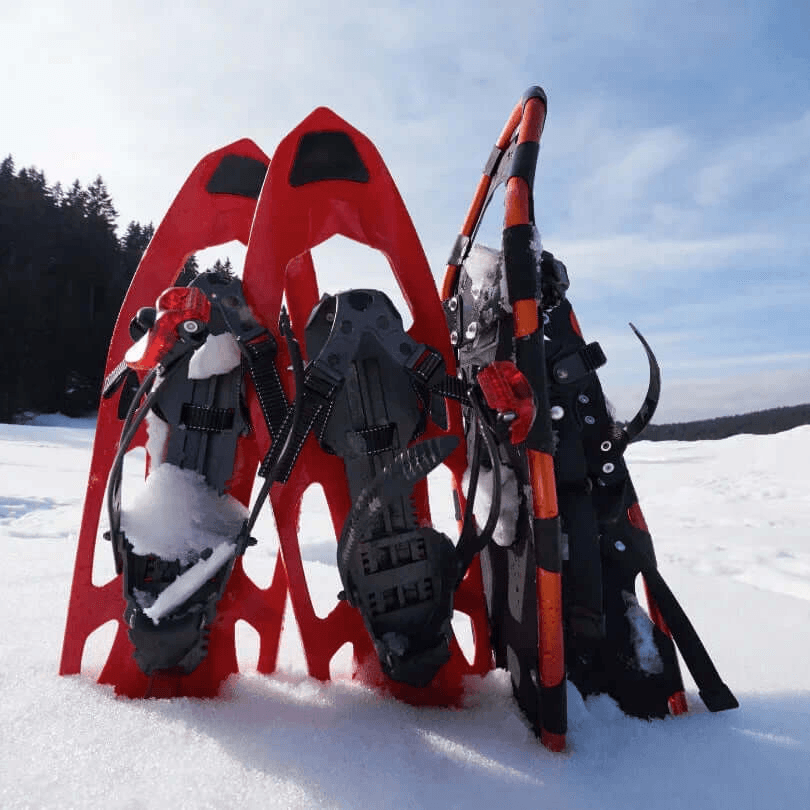 Alquiler Esquís La Molina - Raquetas / Intermedio / Equipo Completo -CaranvaSports - temporada 2026