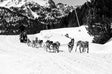 Mushing Andorra GrandValira | Excursión con Perros de Trineo - -CaranvaSports - temporada 2026