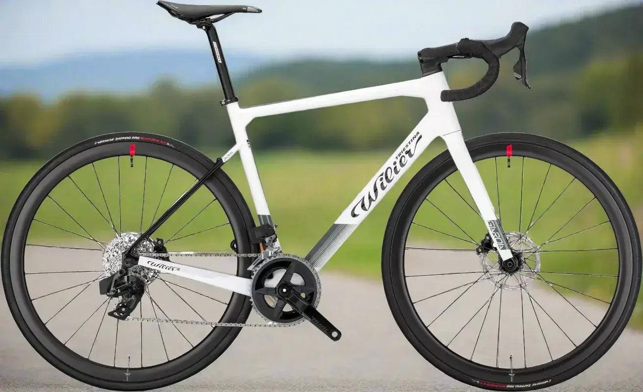 Alquiler Bici Carretera Málaga - Carretera / Colnago V5Rs (Shimano Ultegra di2) Vision SC45 -CaranvaSports - temporada 2026