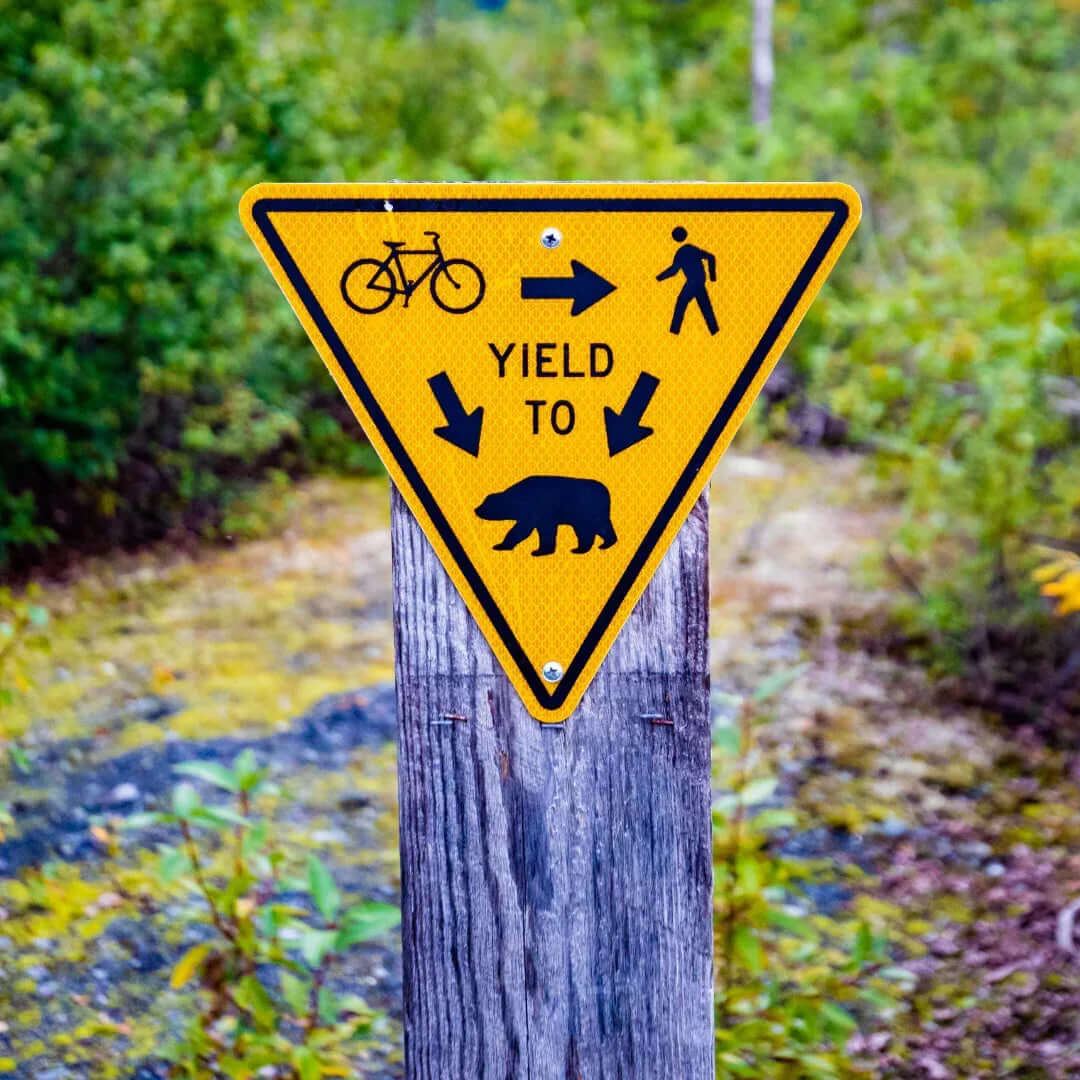 Alquiler Bicis Senda del Oso - -CaranvaSports - temporada 2026